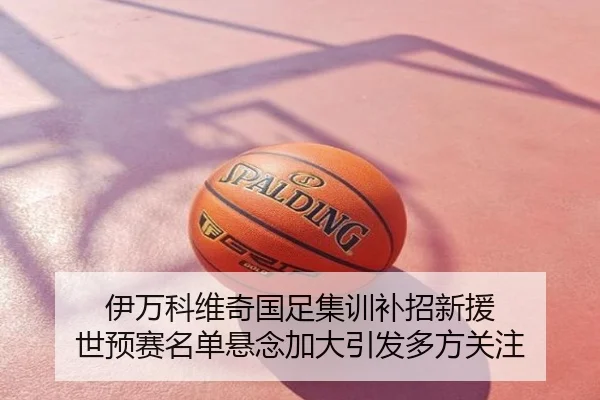 伊万科维奇国足集训补招新援 世预赛名单悬念加大引发多方关注